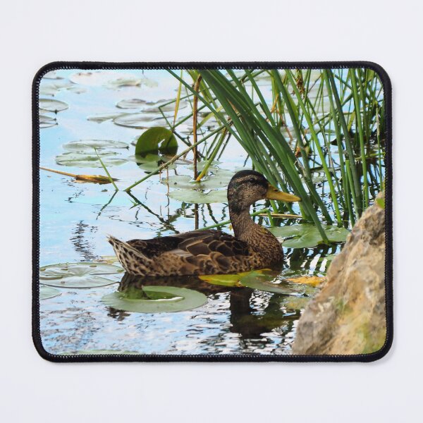 Item preview, Duck Hiding In Some Bulrush designed and sold by BackyardBirder.