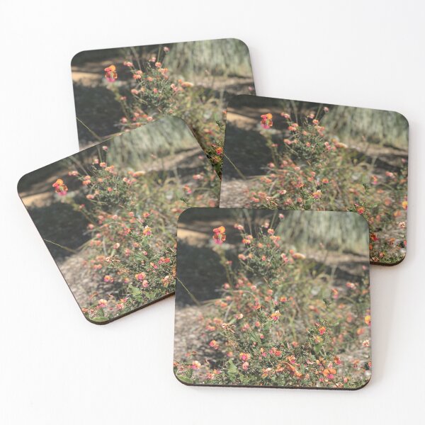 Item preview, Coral Pea (Kennedia coccinea), Western Australia designed and sold by NimbleFish.