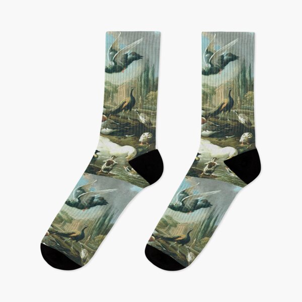 Item preview, A Peacock, Pigeon, Ducks And Other Birds In a Garden Setting by Melchior d'Hondecoeter (digitally enhanced) designed and sold by Amanda1775.