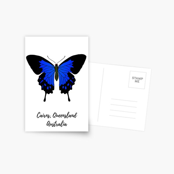 Ulysses Butterfly Cairns  Postcard