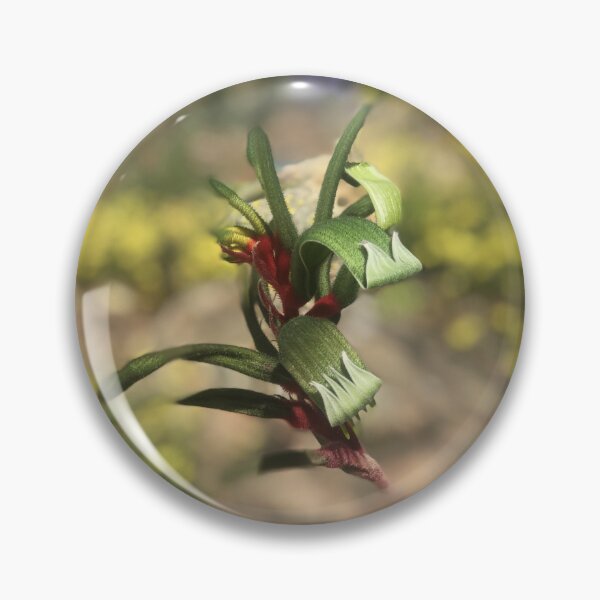 Item preview, Kangaroo Paw (Anigozanthos) single picture, Perth, Western Australia designed and sold by NimbleFish.