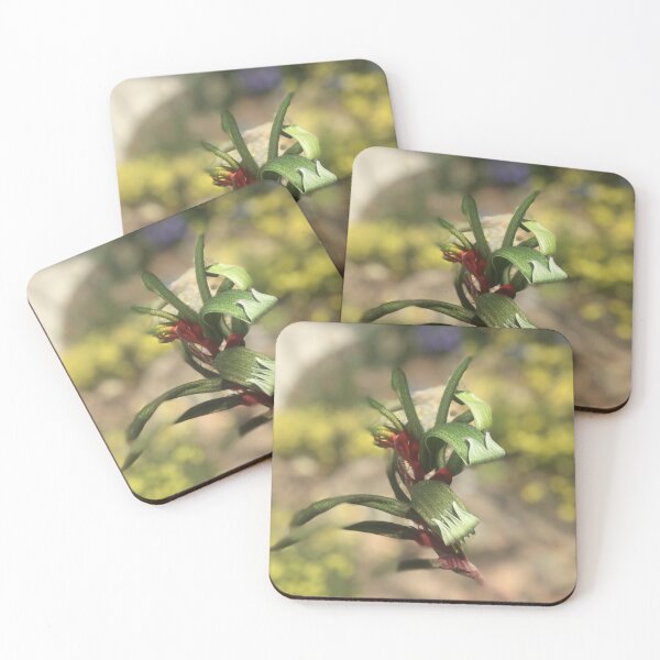 Item preview, Kangaroo Paw (Anigozanthos) single picture, Perth, Western Australia designed and sold by NimbleFish.