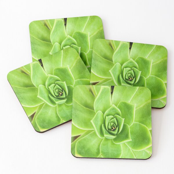 Item preview, The ladybird and the succulent  designed and sold by bevwilson1.
