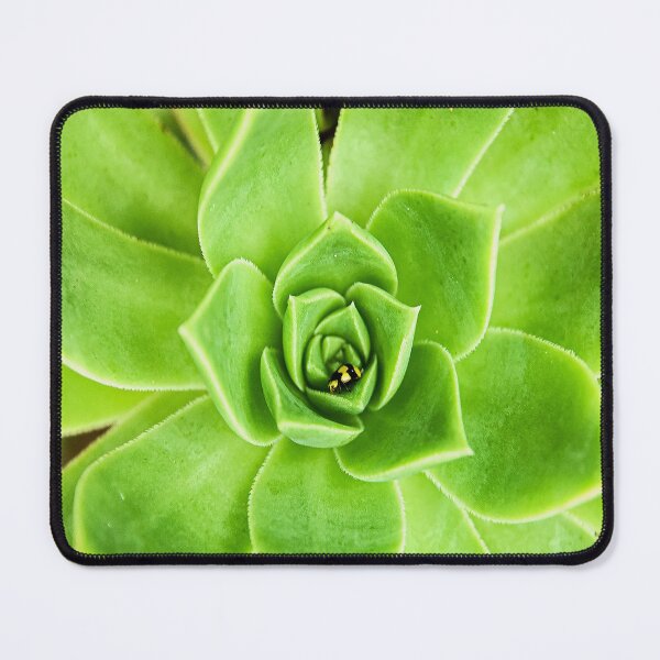 Item preview, The ladybird and the succulent  designed and sold by bevwilson1.