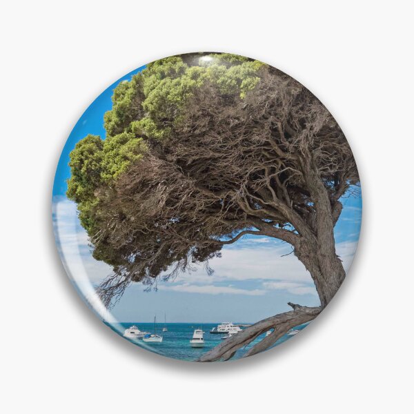 Item preview, Rottnest tree designed and sold by Elliot62.