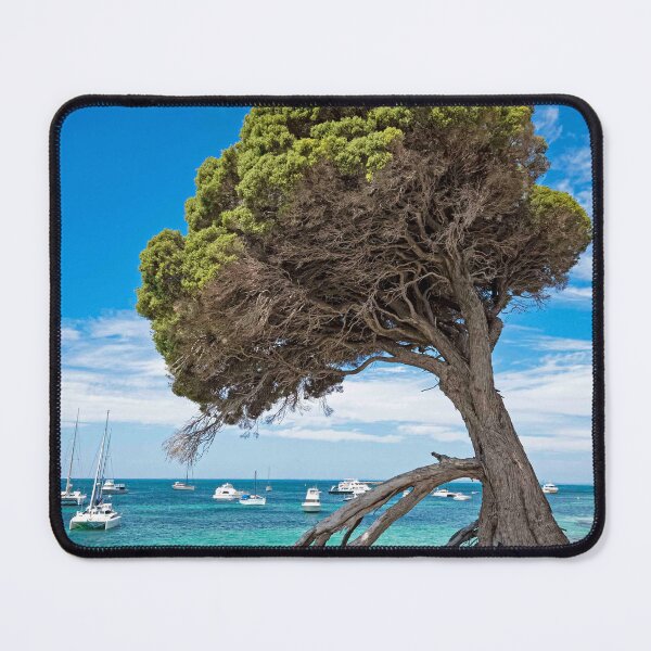 Item preview, Rottnest tree designed and sold by Elliot62.