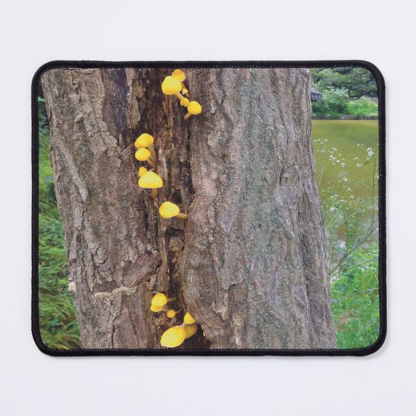 Item preview, Little Yellow Mushrooms (large canvas) designed and sold by Bernsberry Illustrations.