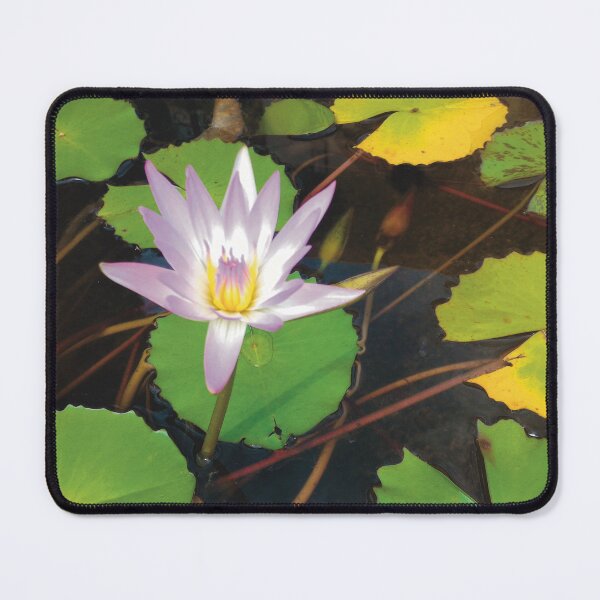 Item preview, Lotus Flower (large canvas) designed and sold by Bernsberry Illustrations.
