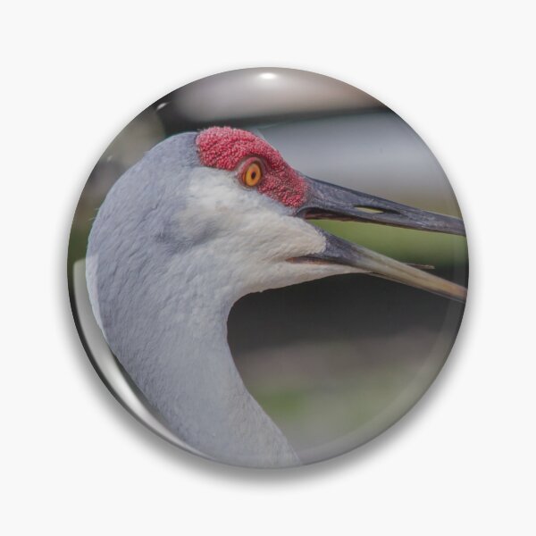 Item preview, Sandhill Crane designed and sold by utakloss.