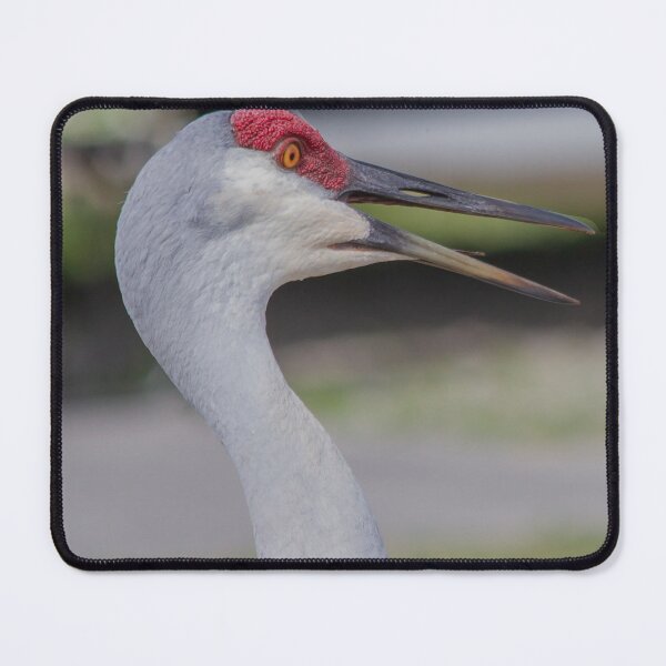 Item preview, Sandhill Crane designed and sold by utakloss.