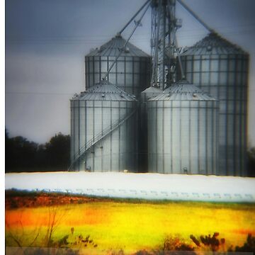 Artwork thumbnail, Grain Of The Plains - Kansas by kinkatstyle
