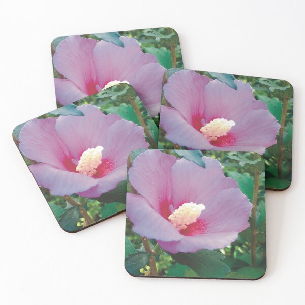 Item preview, Dainty Violet Flower (large canvas) designed and sold by Bernsberry Illustrations.