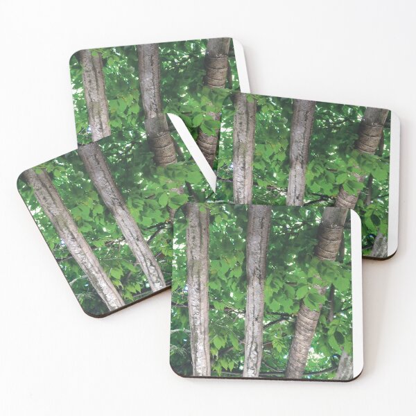 Artikelvorschau, Vibrant Green Foliage Ceiling (large canvas) entworfen und verkauft von Bernsberry Illustrations.