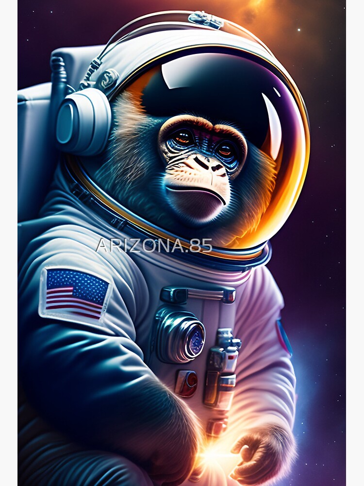 Mono astronauta | Lámina rígida