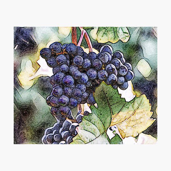 Item preview, Grapes In A Swirled Design designed and sold by Heathermarie321.