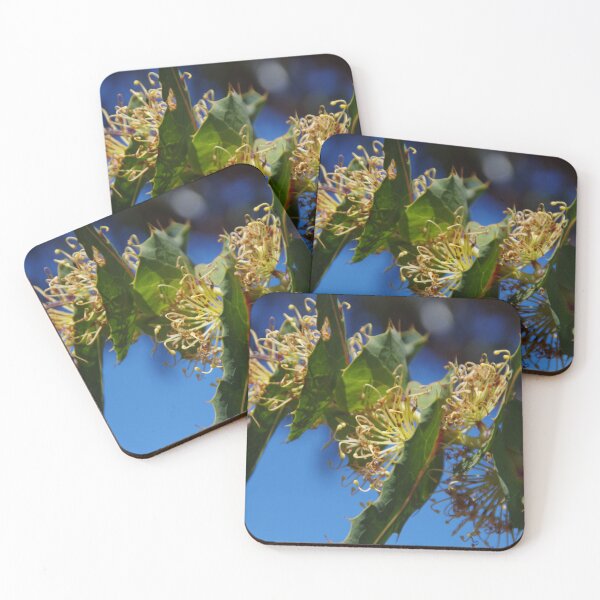Item preview, Prickly Hakea designed and sold by lezvee.