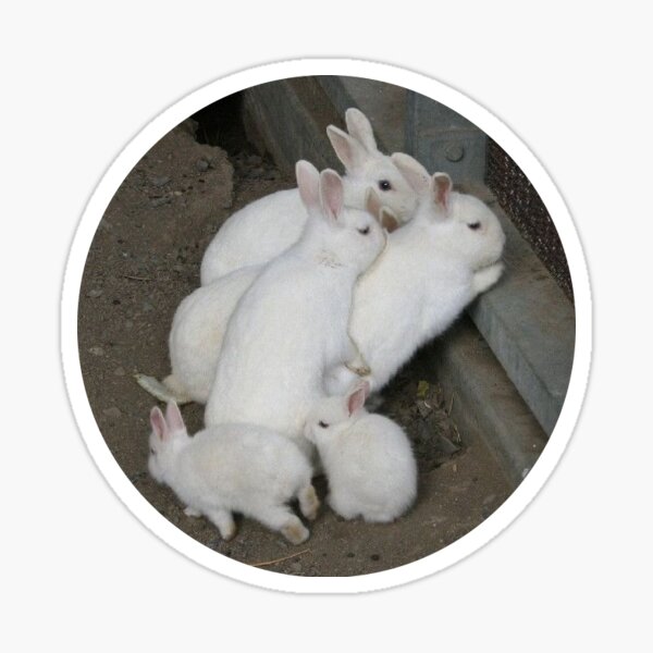 Item preview, bunny family designed and sold by dumbiddy.