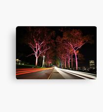Kings Park Traffic Canvas Print