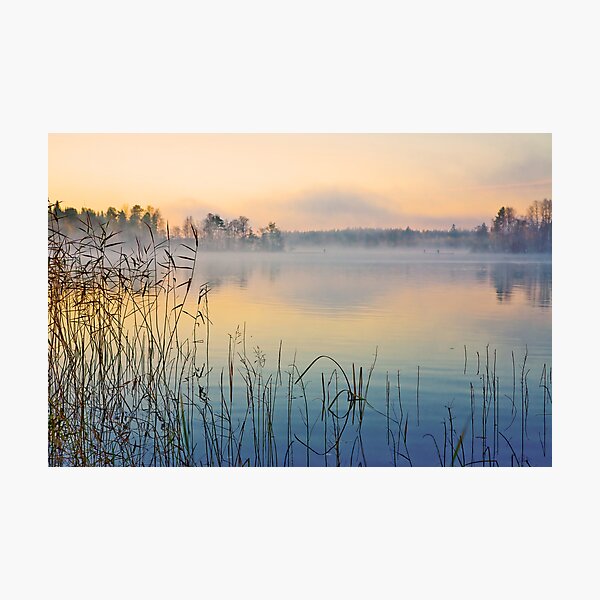 Item preview, One Morning designed and sold by Päivi  Valkonen.