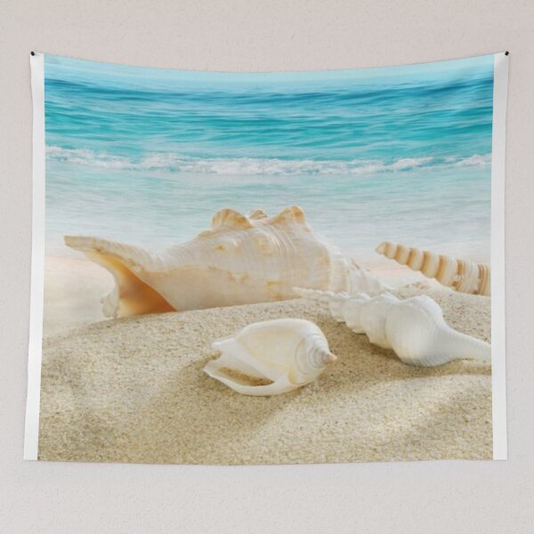 Item preview, Shell designed and sold by NengShop.