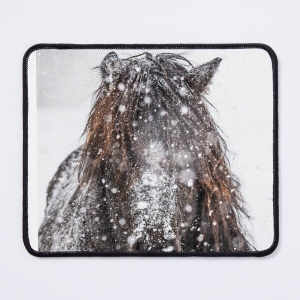 Item preview, Icelandic stallion in the snow designed and sold by Ingo Gerlach.