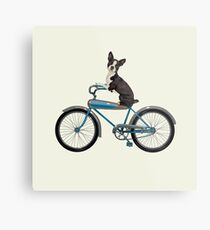 Dog on a Bike Metal Print