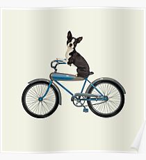 Dog on a Bike Poster