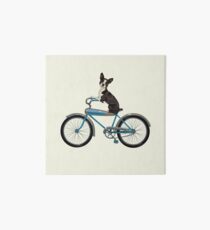Dog on a Bike Art Board Print