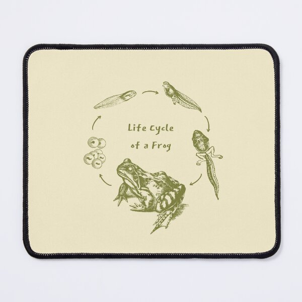 Item preview, Vintage Biology Frog Life Cycle Metamorphosis, Toad and Tadpole Design for Science Lovers and Natural History Fans designed and sold by MinistryOfFrogs.