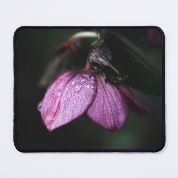 Item preview, Macro flower with rain drops designed and sold by Benkilbeyprints.