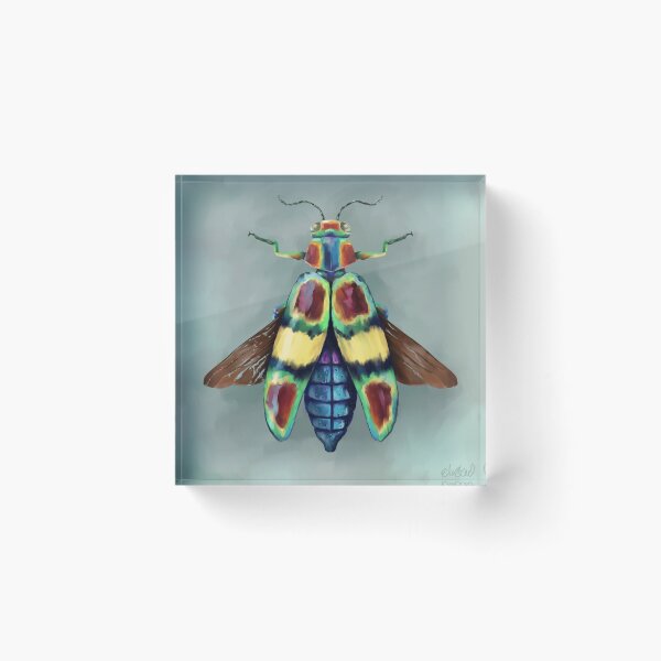 Item preview, Colourful Beetle by Ela Steel designed and sold by elasteel.
