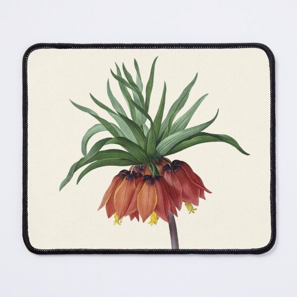 Item preview, Fritillaria Imperialis | Crown Imperial Lily | Pierre Joseph Redouté | Vintage Botanical Art Print designed and sold by LaMadeleine.