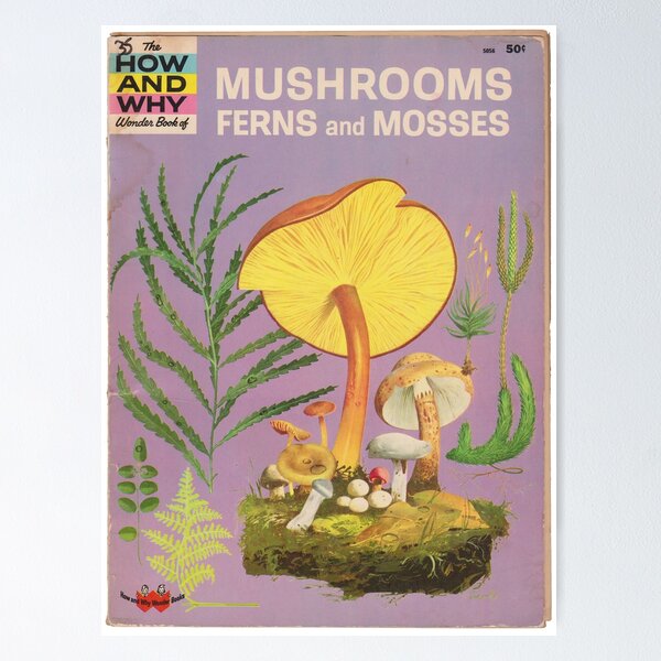 Item preview, Mushroom Book Cover designed and sold by Braedon Bishop.
