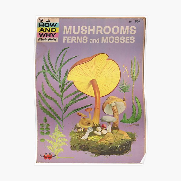 Mushroom Book Cover Poster
