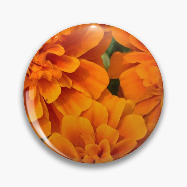 Item preview, Burnt Orange Mum Flowers designed and sold by RPoli3.