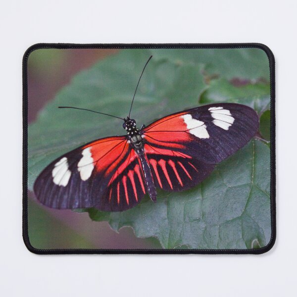 Item preview, Postman Butterfly designed and sold by Krys Bailey.