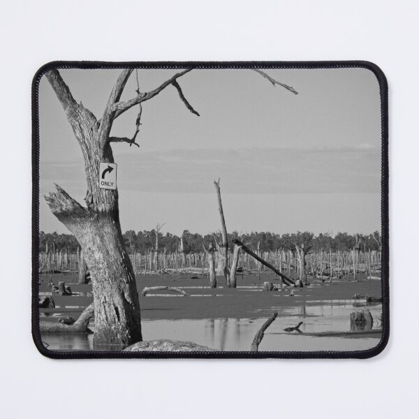 Item preview, They emptied the lake designed and sold by Linda Lees.