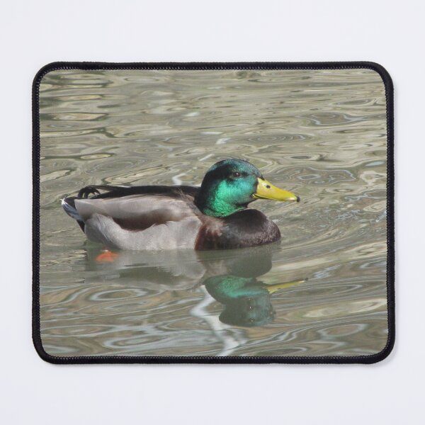 Item preview, Mallard designed and sold by aidendale.