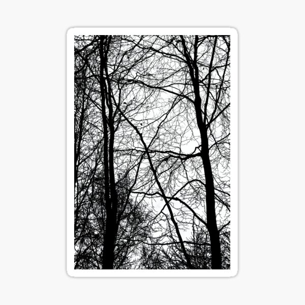 Tree Silhouette Series 3 Sticker