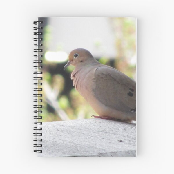 Item preview, Mourning Dove designed and sold by aidendale.