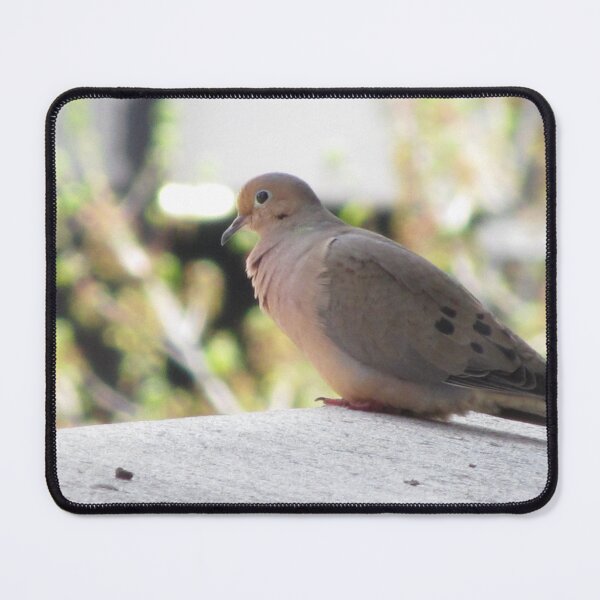 Item preview, Mourning Dove designed and sold by aidendale.