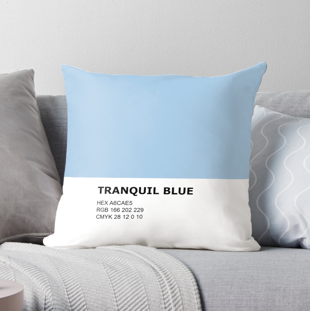 Light blue throw online pillows