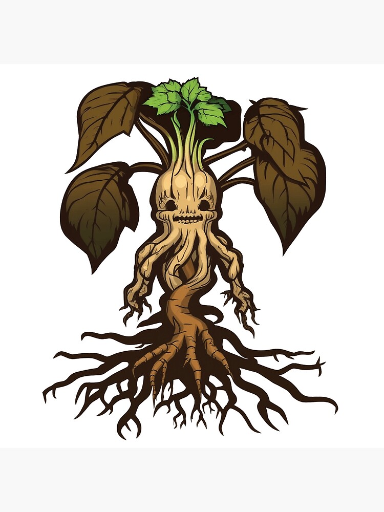 4 Mandrake Png Designs e Gráficos