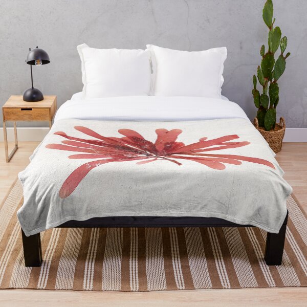 Item preview, Herbario de Palmaria de Algas Mediterráneas designed and sold by everydaybotany.