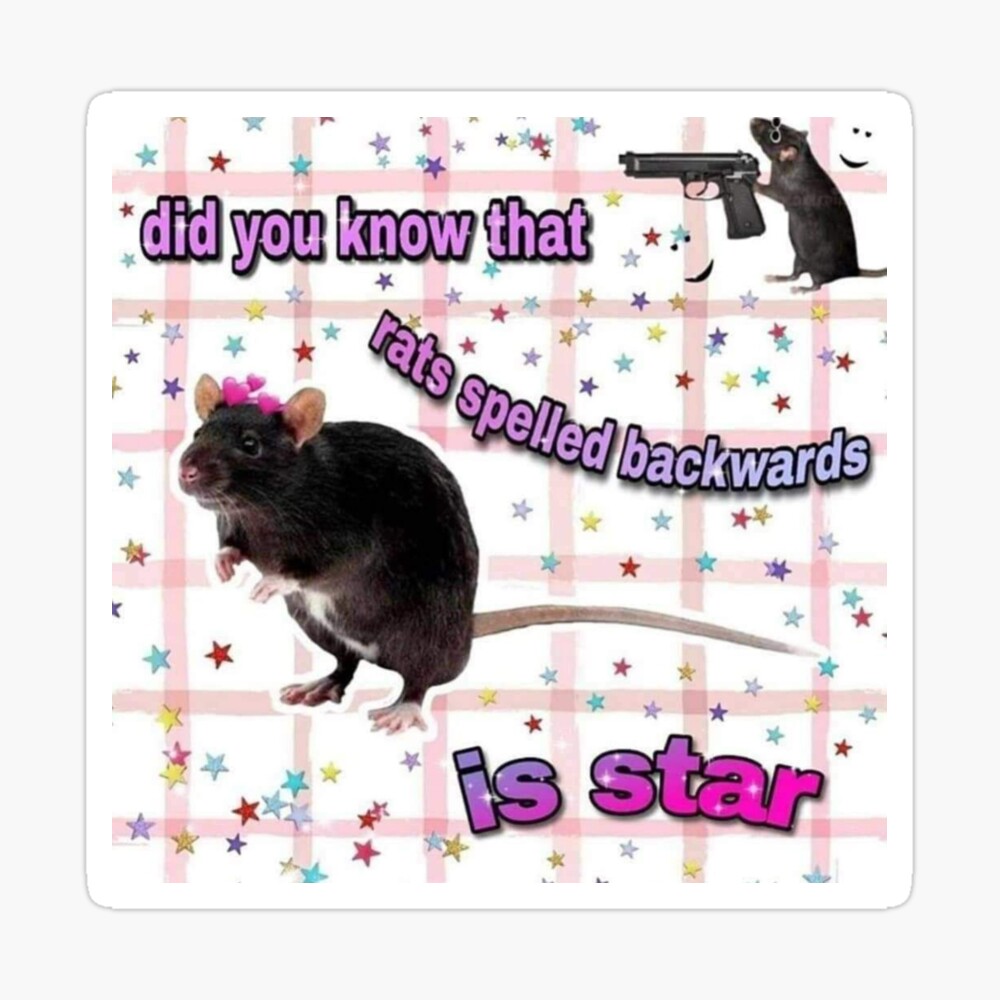 Rats spelled backwards is star | Art Board Print