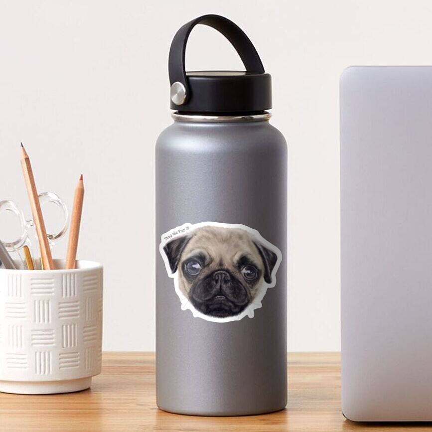 Wee Scottish Shug The Pug! Sticker
