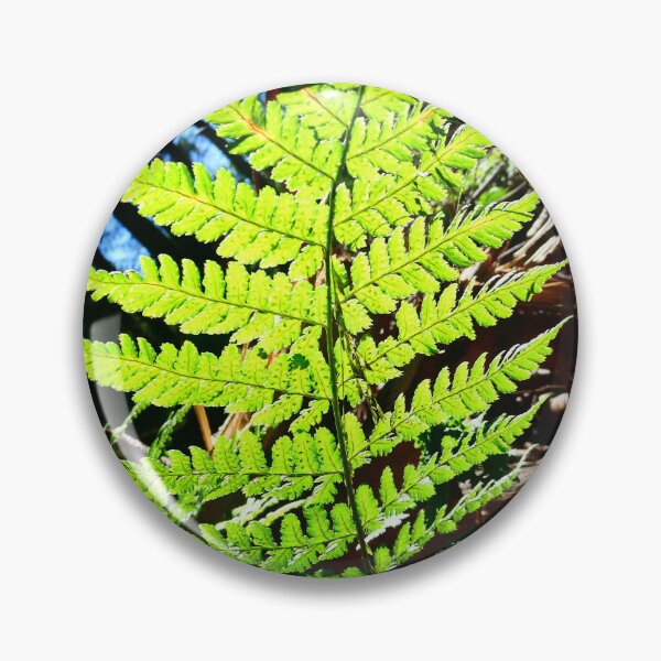 Item preview, Lone Fern in Somerset designed and sold by JonDelorme.