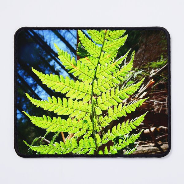 Item preview, Lone Fern in Somerset designed and sold by JonDelorme.