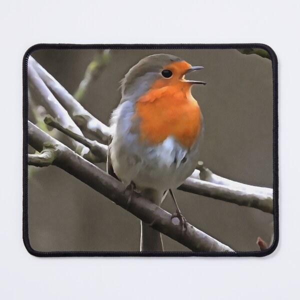 Item preview, European Robin Red and Grey Painting designed and sold by taiche.