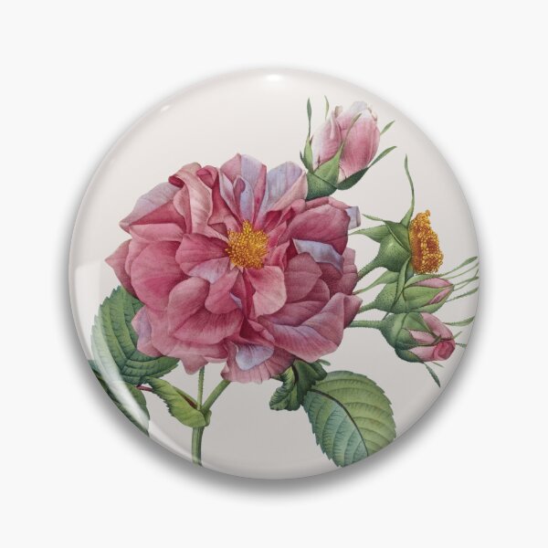Item preview, Rosa Turbinata | Rose of Frankfurt | Pierre Joseph Redouté | Vintage Botanical Art Print designed and sold by LaMadeleine.